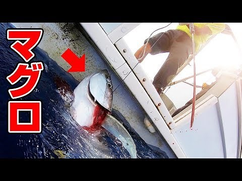 (ENG SUB)Fishing Huge Tuna from a depth of 1600 meters!!
