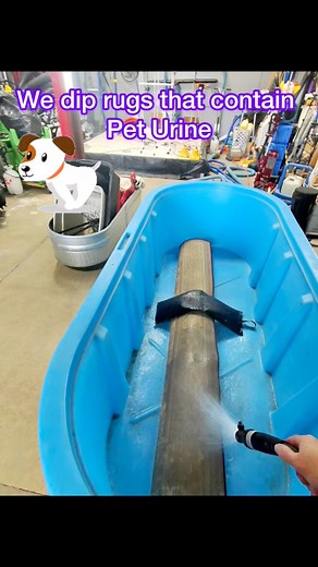 751K views · 5.1K reactions | Lots Of Urine. Our unique dipping process guarantees 100% pet urine removal from your Rugs. #woolrugcleaning #rugcleaningservice# #stinky #rugwashing #asmrvideo #SoothingVibes | Ferrante's Steam Carpet Cleaning | Facebook