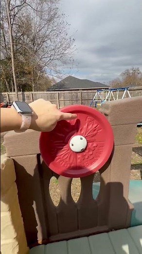 Best climber for the backyard!