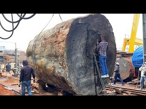 The World's Largest Sawmill // The Process Of Making A Monolithic Table From A Giant Tree