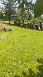 9.3K views · 42 reactions | Ward Park, thank you Karen. ❤️ | The City of Bangor, its past, present and future. | Facebook