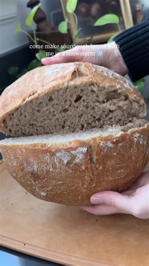Christine McMichael on Instagram: "Honestly one of my favorite routines lately. I make mine partially whole wheat, partially all-purpose, and it’s SO good! Still working on my scoring skills and getting that perfect texture though. Also ignore the burn mark on my wrist, burned my arm so badly on a hot pan last week! Not fun. ⠀⠀⠀⠀⠀⠀⠀⠀⠀ And ALSO, I normally let it cool for a full hour before cutting into it (sometimes even longer), but I was losing light and really wanted to film it AND my neighbo
