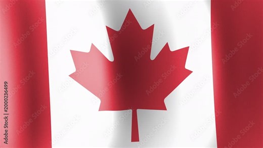 Canada Flag Waving in Wind Slow Motion Animation. showcasing its vibrant red and white colors.