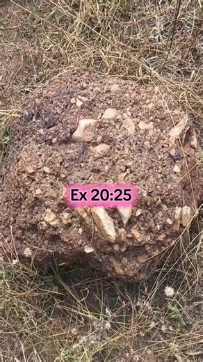 Discover the Power of Magical African Stones