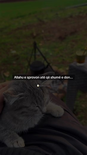 Understanding Allah's Testing of Believers