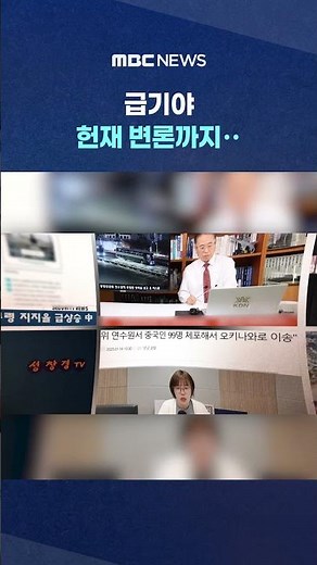 '스카이데일리' 쓰면, 극우 유튜버 확산‥ #Shorts (MBC뉴스)