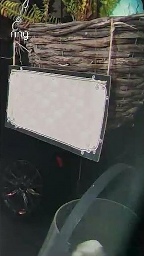 Some things you just can't explain 👽