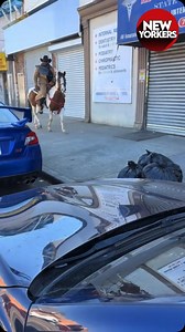 Brooklyn Cowboy 🤠 🤣 🎥 TikTok: @user9396246366637 | New Yorkers