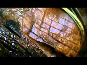 Ray Mears Buscraft - Wild Boar Roast - Przygotowanie rożna