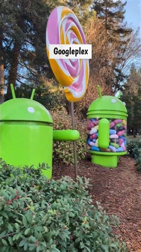 A Visit to Google Headquarters Googleplex