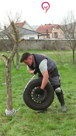 How to pull out a tree easily 🌳 #diy #tree #remove #craft