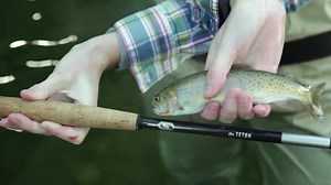 7.4K views · 77 reactions | The Teton is our 12 ft. all around Tenkara rod that fishes the creeks and streams really well but truly excels on larger waters and can handle bigger fish. | Tenkara Rod Co. | Facebook