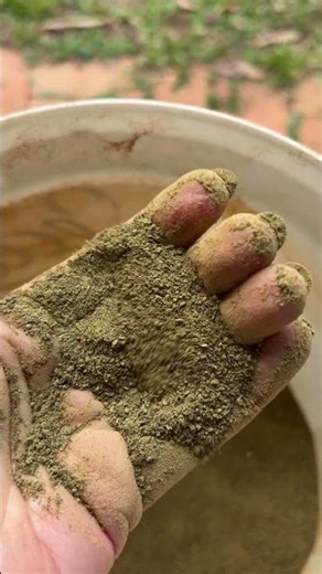 Seaperia Meal - Ascophyllum nodosum