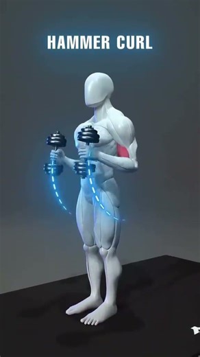 Fitness Zone 3D Animation 💪 | 3D Workout Motivation #3DFitness #3DWorkout #3DAnimation