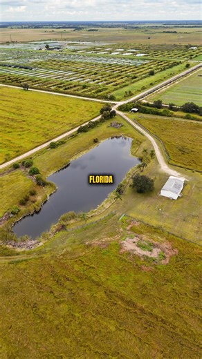 A massive steel structure built over the water #metalbuilding #tnsteelbuildings #metalstructure | Tennessee Steel Buildings Inc.