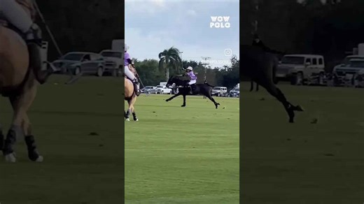 WOW Polo Series: Exciting Horse Polo Match