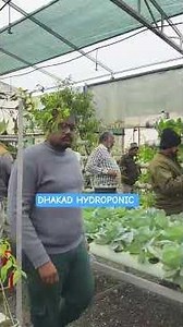Hydroponic Workshop