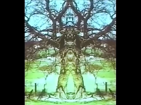 Diese Spiegelgeschichte Wolfgang Wiedergut