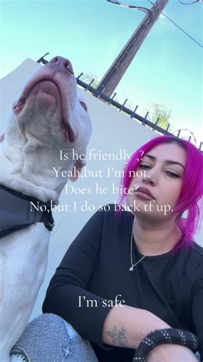 Hilarious Encounter with a Skunk while Walking Dogs