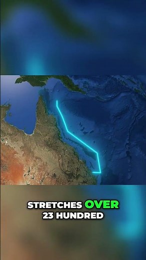 Great Barrier Reef Is It Dead What You Need to Know