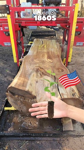 Treecycle on Instagram: "What this BEAutiful species? #wood #woodworking #decor #design #designer #interiordesign #homedecor #art #artwork #explorepage #woodworking #liveedge #highend #smalbusiness #furniture #luthier #hudson #reels #satisfyingvideos"