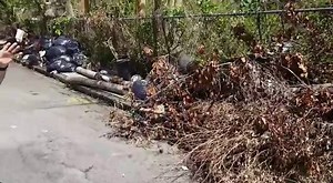 156K views · 600 reactions | A tres semanas del paso del huracán María por Puerto Rico, basura y escombros se acumulan en gran parte de las calles cercanas a las residencias. Igual escenario se observa en algunas carreteras. El país continúa con el problema de electricidad, agua potable y servicio de telecomunicaciones. Un reporte de Rafy Rivera. Más información en cnnespanol.cnn.com | CNN en Español | Facebook