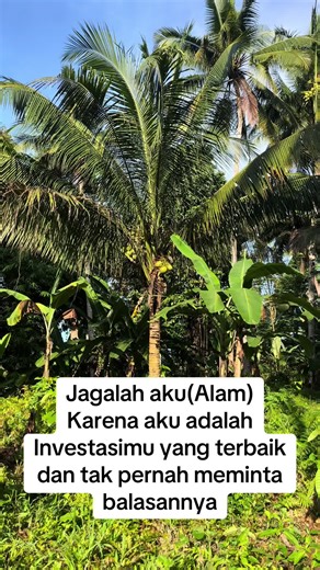 Vega Celluler on TikTok