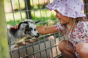 7 of the best family-friendly farm stays in the UK - Netmums