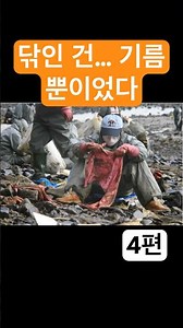🛢️ “기름만 닦은 줄 알았죠?” – 태안, 그 후의 이야기