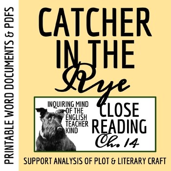 Catcher in the Rye Chapter 14 Literature Analysis Worksheet | Adolescent Fiction