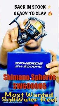 SHIMANO SPHEROS SW6000HG IS BACK! 🎣 IN-STOCK ALERT FOR SALTWATER WARRIORS #tackletips