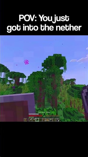 You Just Went Into The Nether
