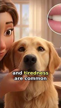 Is Your Dog Infected with #hookworms #dogbreed