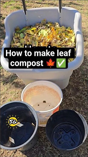 Making compost with leaves 🍁#compost #composting