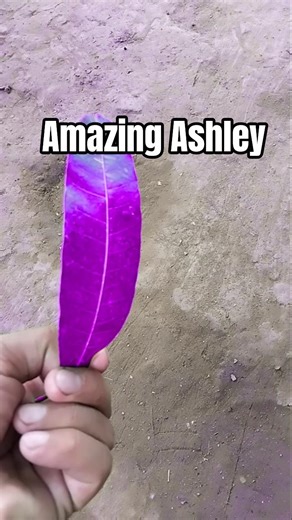 AMAZING ASHLEY #trending #viral #viralvideo