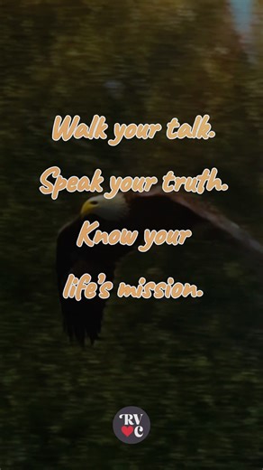 Walk your talk. Speak your truth. Know your life's mission. www.RomancingYourSoul.com #LoveInAction #PositiveChange #RomancingYourSoul #ReginaVCates #ResetYourMind #BooksThatInspire | Regina V Cates