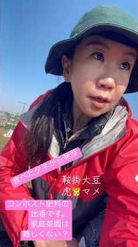 食べたタネから発芽。家庭菜園で育てます。実はそんなに難しくない。自分で育てる楽しみ。少し日差しが強いジム💪と思います。コンポスト肥料の出番です。#家庭菜園 タグが人気です。