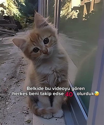 Olmaz ki 🙅‍♀️
