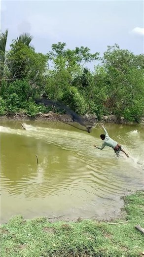 amazing dack attack casnet 😱💚#fishinglife #naturalfishing #subscribe #casnet #dack #consent