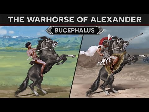 Bucephalus - Warhorse of Alexander the Great DOCUMENTARY