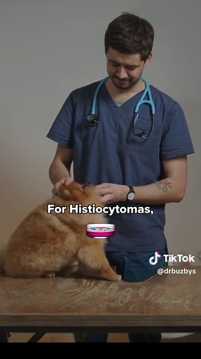 Lumps and bumps can pop up on our dogs and cats at any time. And they run the gamut from benign skin tags to serious cancers. But when it comes to skin masses that are very common in dogs and look similar, like cutaneous histiocytomas and mast cell tumors, how do you know which bump is which? And does it matter? As it turns out, it is important to know if your dog has a histiocytoma vs. mast cell tumor. The treatment and outlook are very different for these two look-alike tumors.