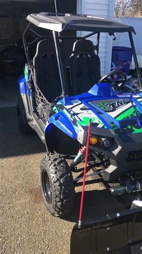 Trailmaster challenger 200cc with plow