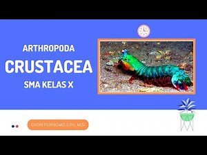 CRUSTACEA/ARTHROPODA/ANIMAL KINGDOM/ANIMAL KINGDOM/ANIMAL/INVERTEBRATE/ANIMAL KINGDOM/SENIOR HIGH...