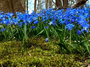 First Day Of Spring: 5 Need-To-Know March Dates In Wisconsin