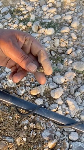 Amazing Silver Found with Metal Detector #metaldetecting #silverfind #youtubeshorts #subscribe