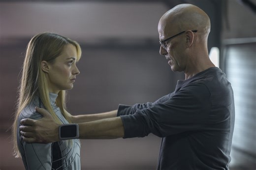 The Ark Enters the Multiverse! The Wild Twist That Brought Cat Back from the “Dead"