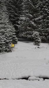 Iohanis indecis | Sănătate În Doze Mici