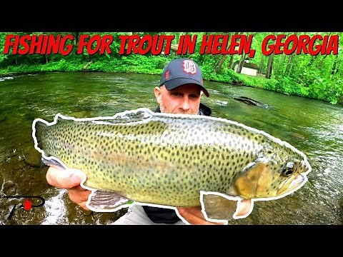 Trout Fishing Helen Georgia