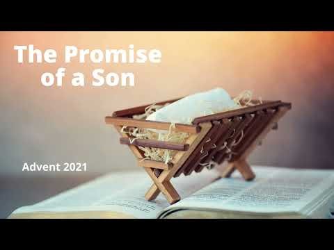 The Promised Son and King
