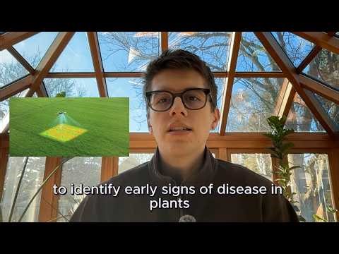 The Phenomics of Anthracnose Resistance: Philip's Project!